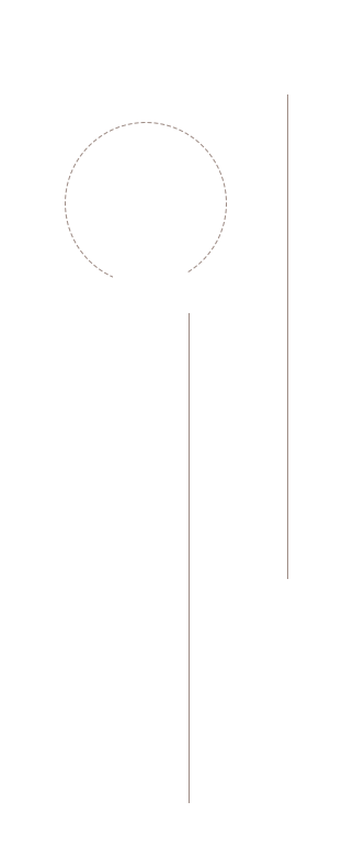 旬を味わう月替わりのコース